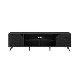 Contemporary 2 Door Minimalist TV Stand