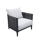 Wicker Gabardine Club Chair With Cushion (Set of 2) - White / Dark Gray