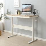 Standing Desk With Metal Drawer, Adjustable Height Stand Up Desk, Sit Stand Home Office Desk, Ergonomic Workstation