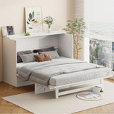 Queen Size Murphy Bed with Large Drawers, Brushed White