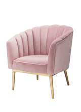 Colla - Blush Velvet Gold Accent Chair - Pink