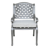 Indoor Outdoor Aluminum Dining Chair With Cushion - Golden Gauze