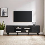 Contemporary 2 Door Minimalist TV Stand