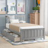 Twin Size Platform Bed With Two Drawers